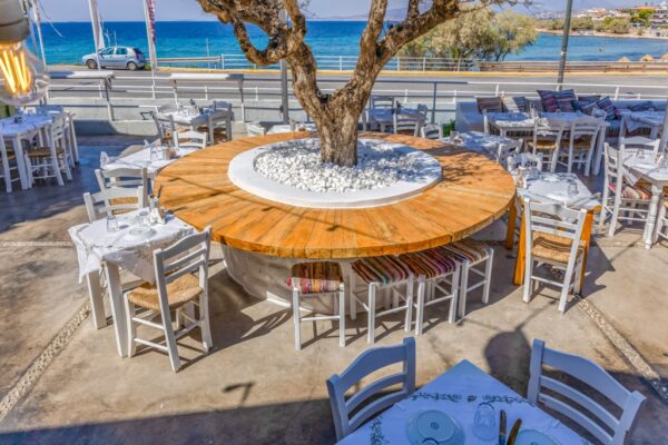 Κατάστημα Μπαρμπαλιάς Σαρωνίδα - Η Αυλή μας Θέα Θάλλασα