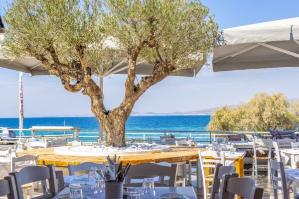 Κατάστημα Μπαρμπαλιάς Σαρωνίδα - Η Αυλή μας Θέα Θάλλασα