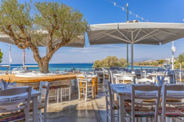 Κατάστημα Μπαρμπαλιάς Σαρωνίδα - Η Αυλή μας Θέα Θάλλασα