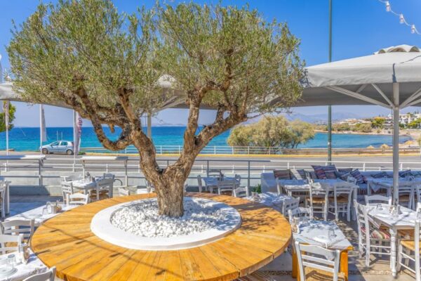 Κατάστημα Μπαρμπαλιάς Σαρωνίδα - Η Αυλή μας Θέα Θάλλασα