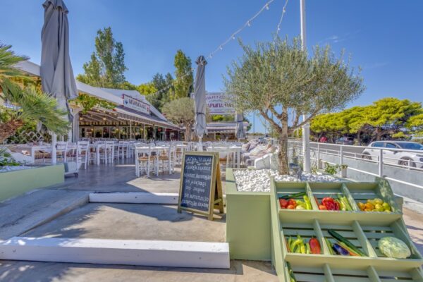 Κατάστημα Μπαρμπαλιάς Σαρωνίδα - η Αυλή μας